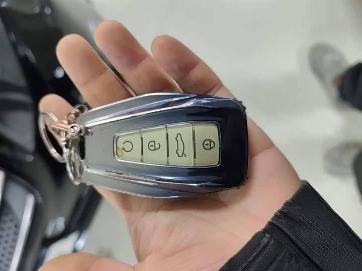 Фото 9 - Geely Okavango