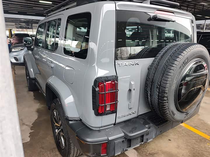 Фото 5 - Tank 300