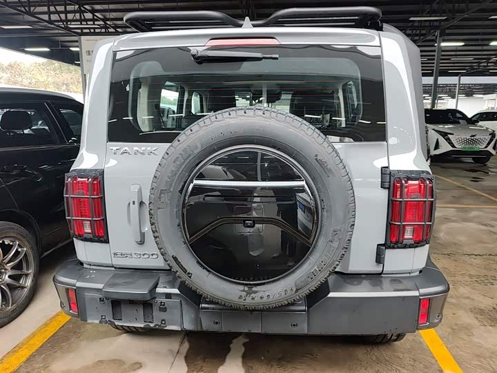 Фото 6 - Tank 300