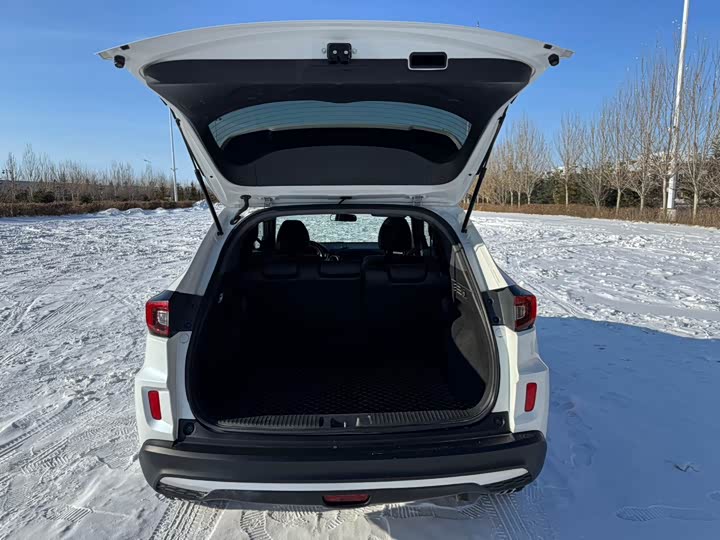 Фото 9 - Honda XR-V