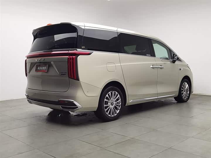 Фото 2 - Wey Gaoshan