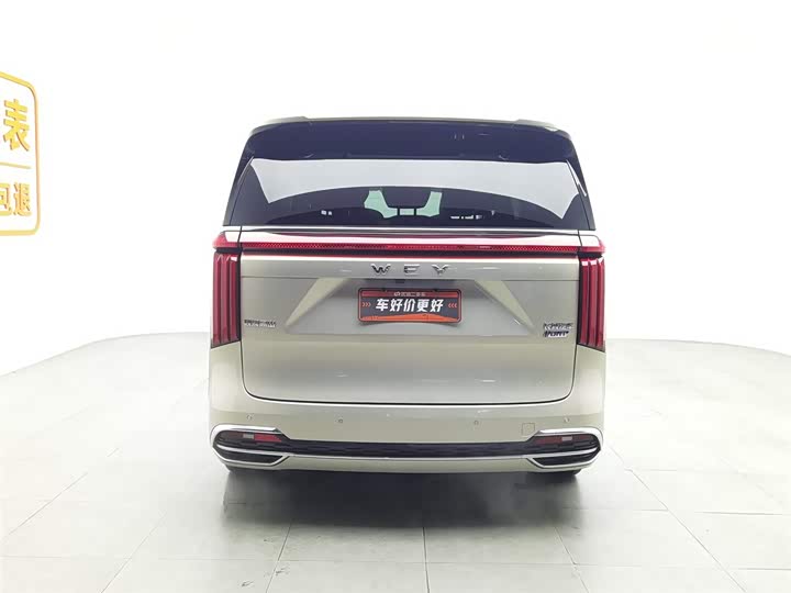 Фото 4 - Wey Gaoshan