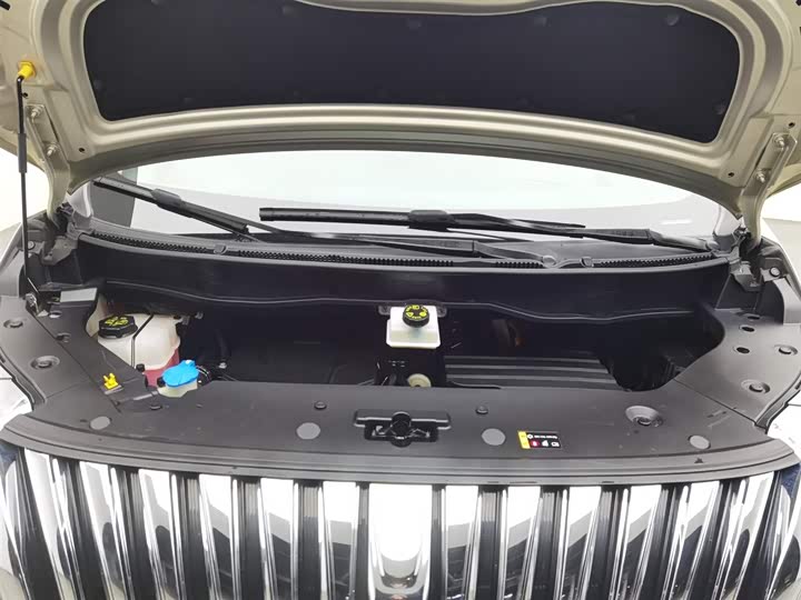 Фото 6 - Wey Gaoshan