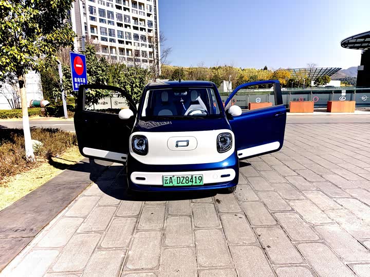 Фото 3 - Bestune Pony