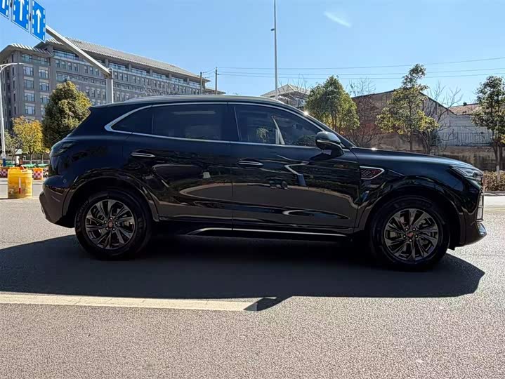 Фото 8 - Hongqi HS5