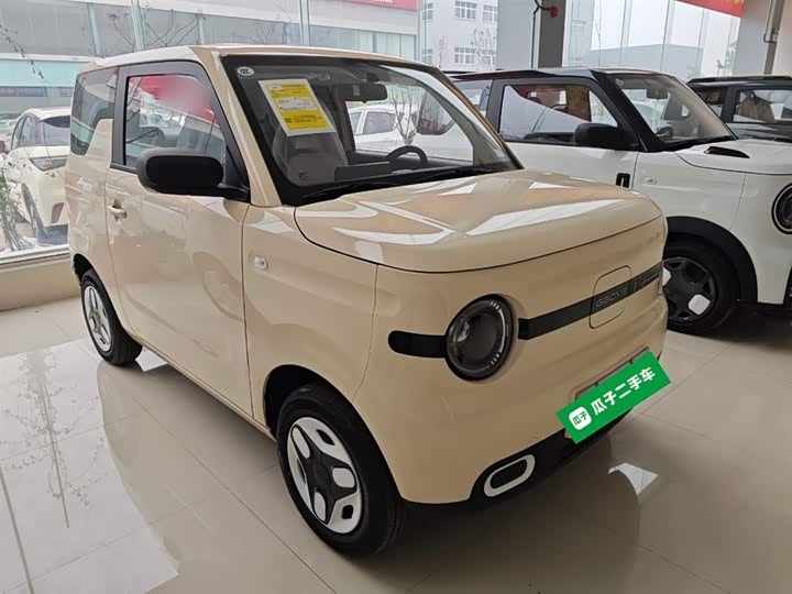 Фото 4 - Geely Galaxy Panda Mini
