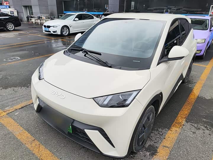 Фото 2 - BYD Seagull