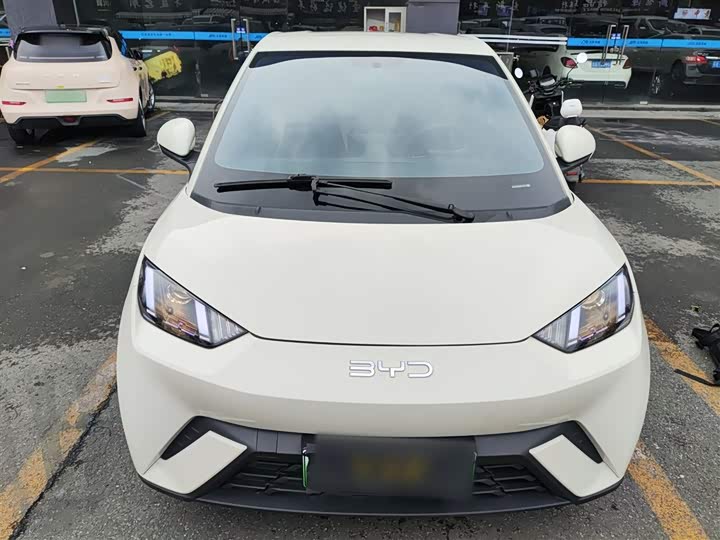 Фото 3 - BYD Seagull