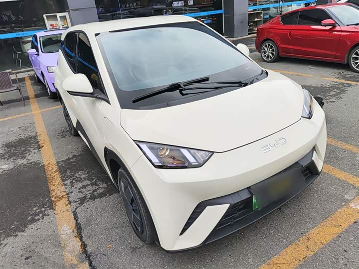 Фото 4 - BYD Seagull