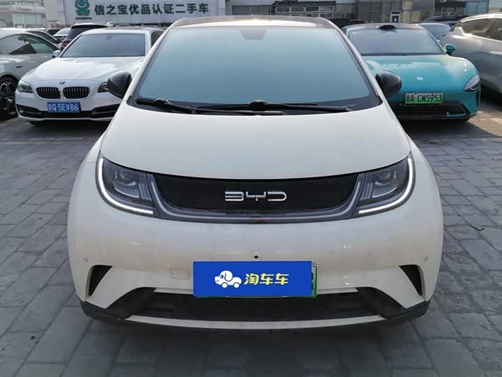 Фото 2 - BYD Dolphin