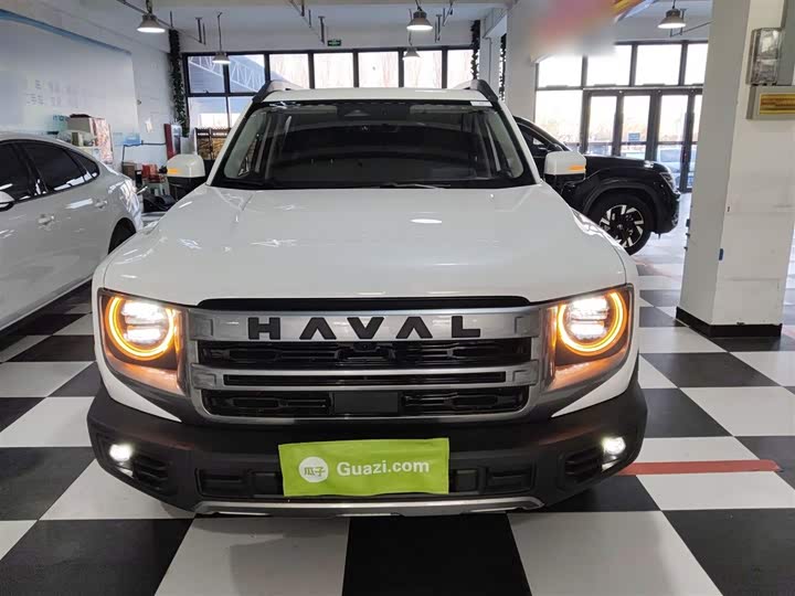 Фото 3 - Haval Dargo