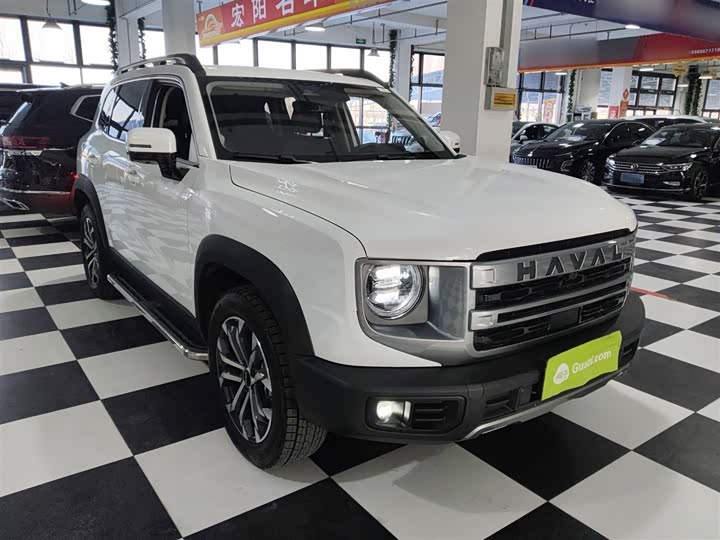 Фото 4 - Haval Dargo