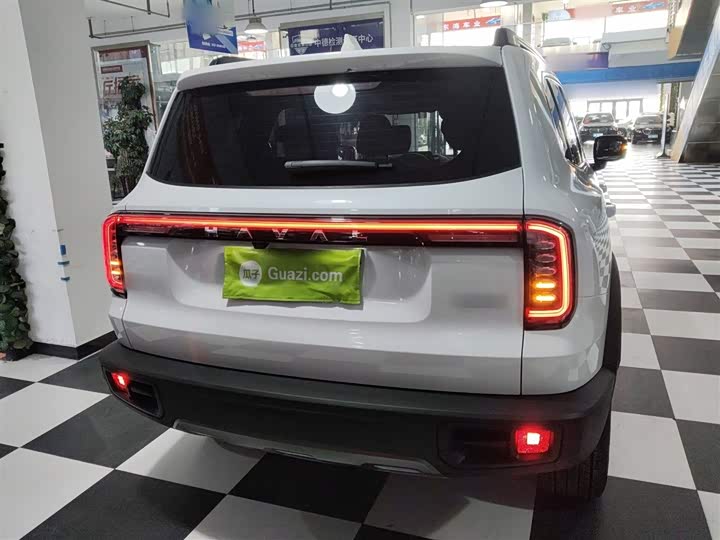 Фото 6 - Haval Dargo