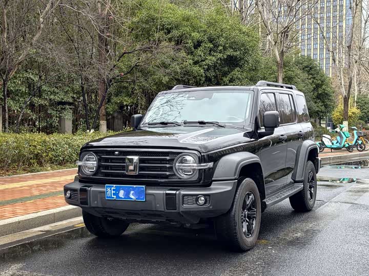 Фото 1 - Tank 300