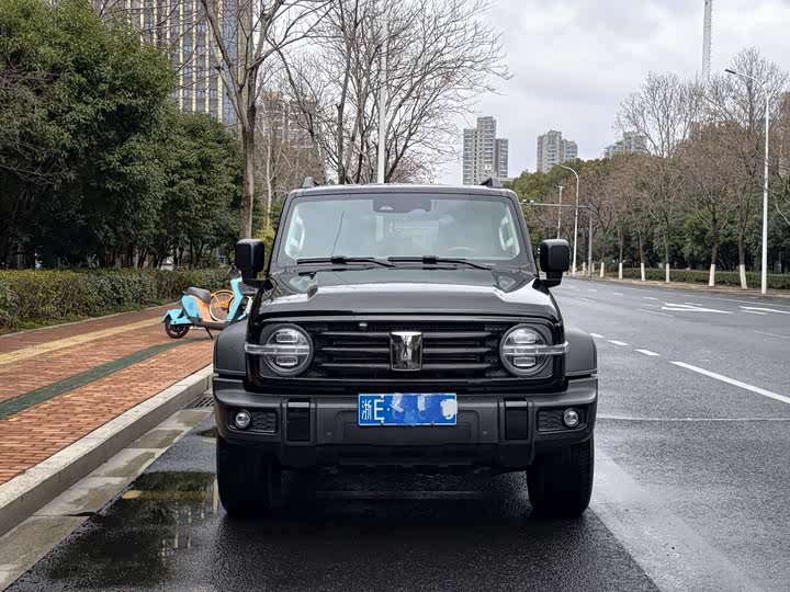 Фото 2 - Tank 300