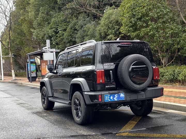 Фото 5 - Tank 300