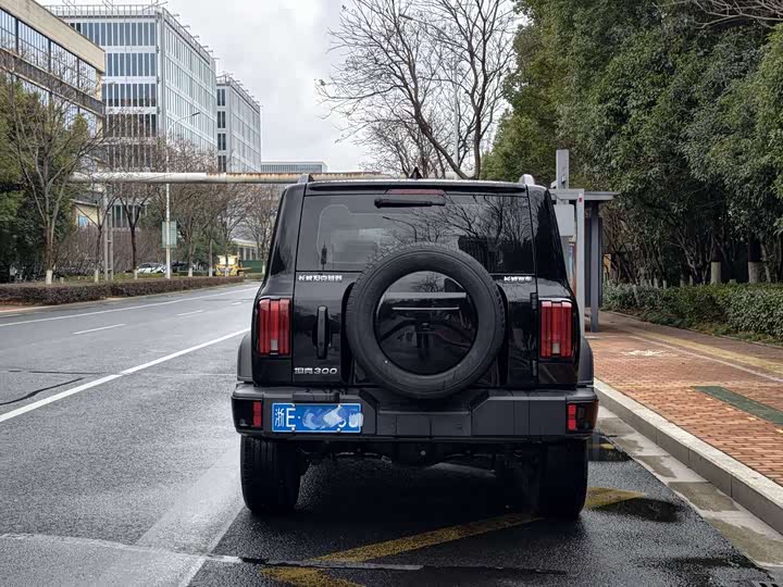 Фото 6 - Tank 300