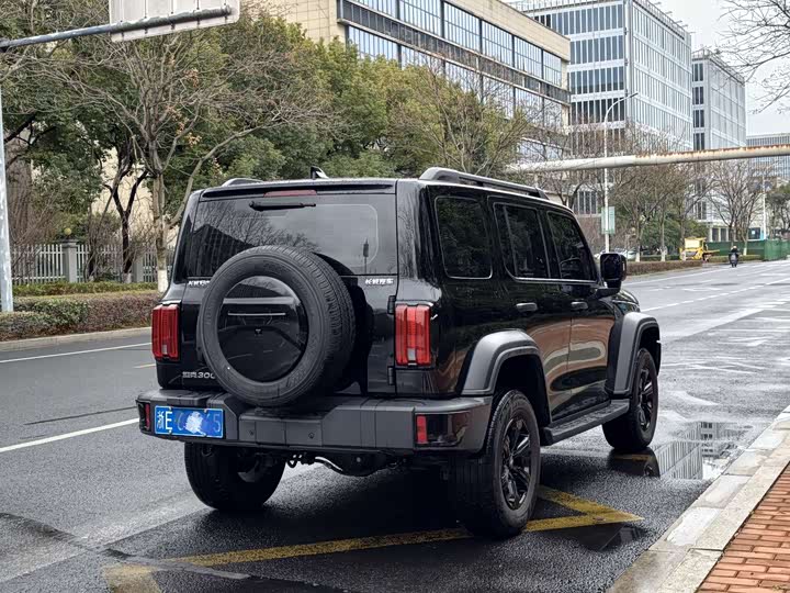 Фото 7 - Tank 300