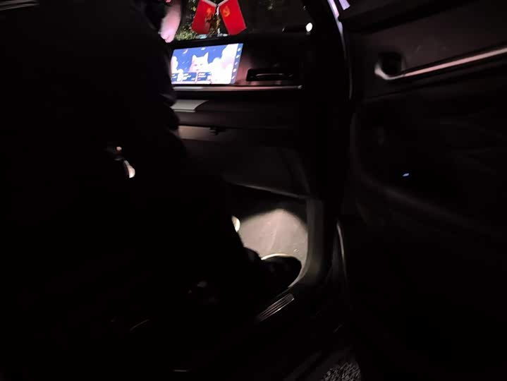 Фото 8 - Geely Monjaro