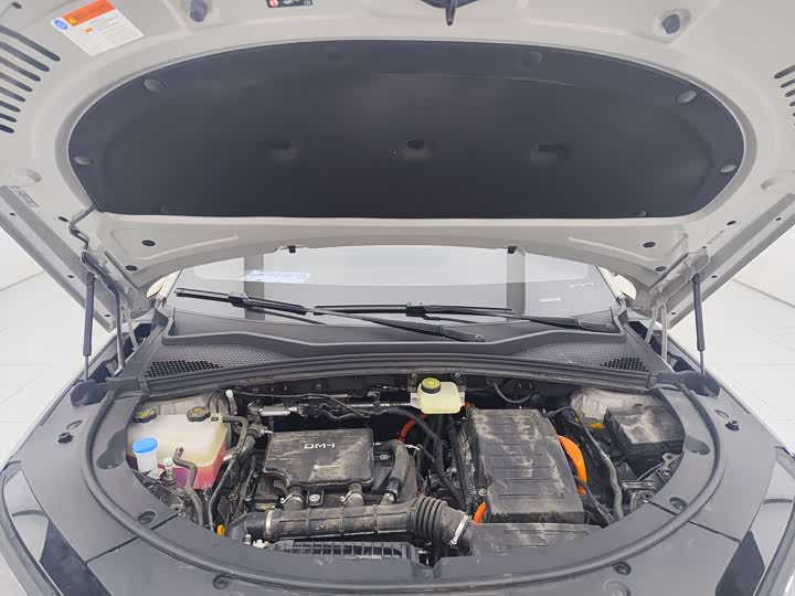 Фото 9 - BYD Song Plus Hybrid/EV