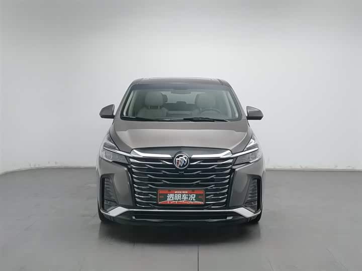 Фото 3 - Buick GL8 ES