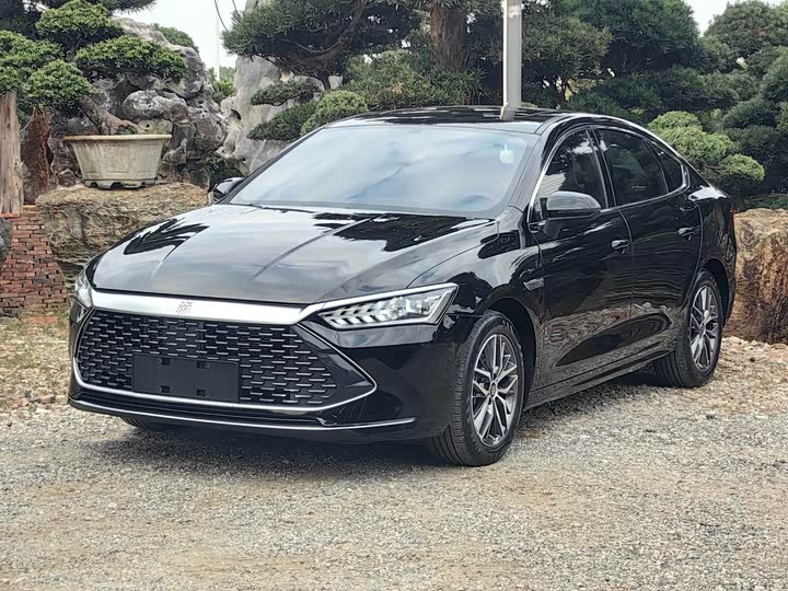 Фото 1 - BYD Qin Plus