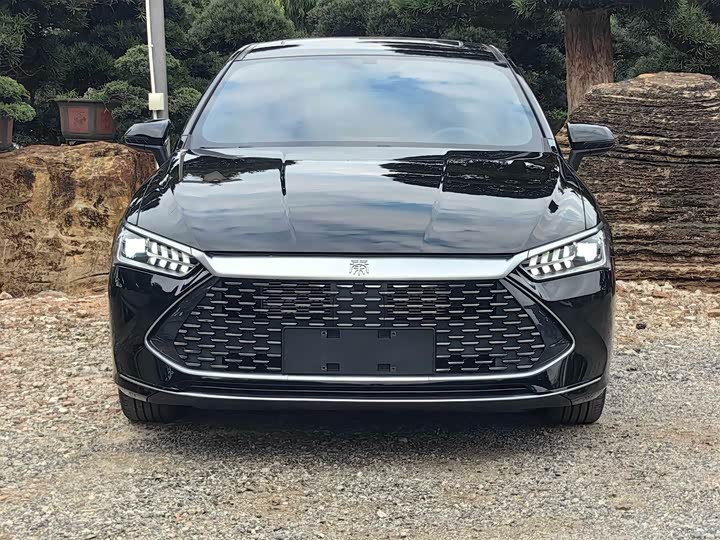 Фото 2 - BYD Qin Plus