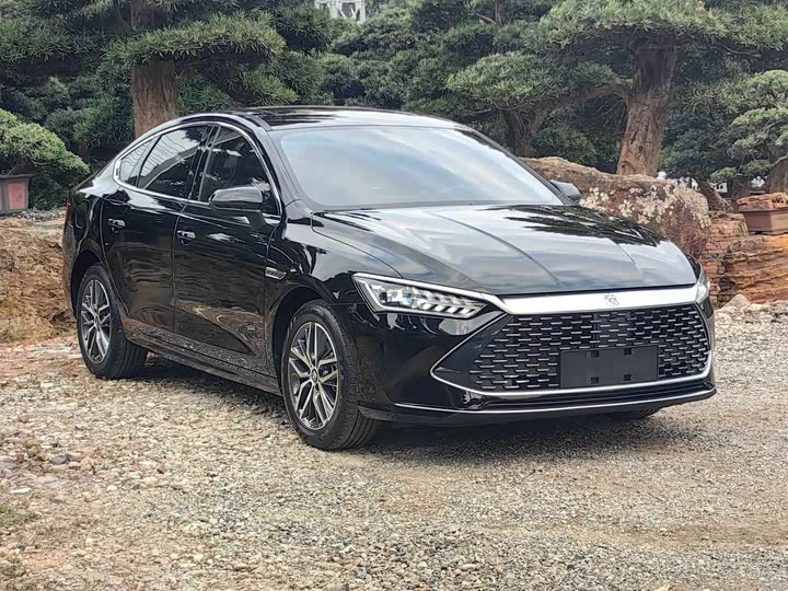 Фото 3 - BYD Qin Plus