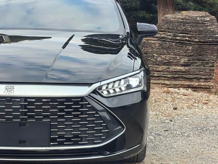 Фото 4 - BYD Qin Plus