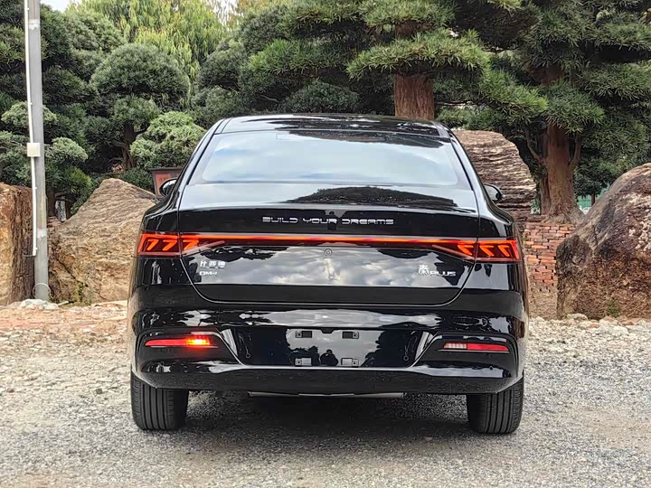 Фото 8 - BYD Qin Plus