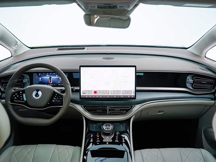 Фото 3 - Denza D9