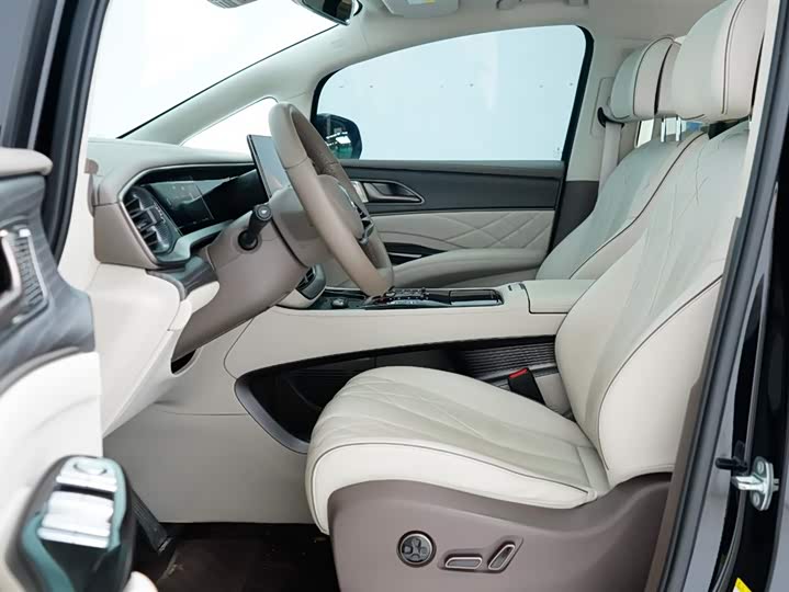 Фото 5 - Denza D9