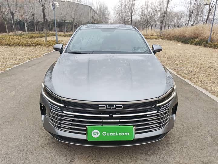 Фото 3 - BYD Destroyer 05