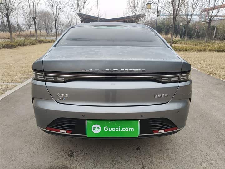 Фото 6 - BYD Destroyer 05