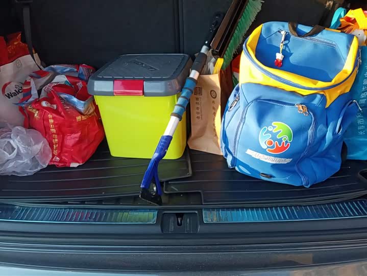 Фото 4 - Volkswagen Talagon