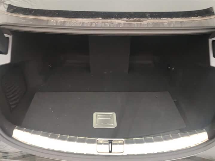 Фото 4 - Denza Z9