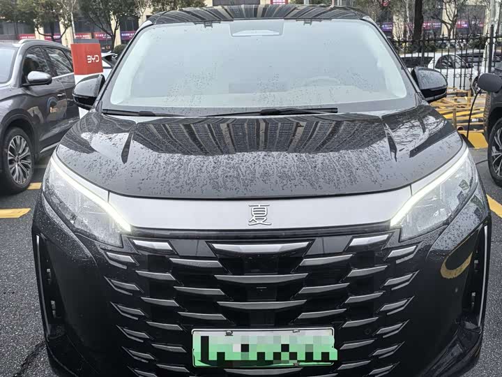 Фото 2 - BYD Xia