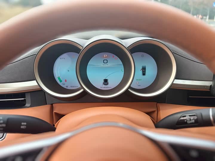 Фото 9 - Ora Lightning Cat (07)