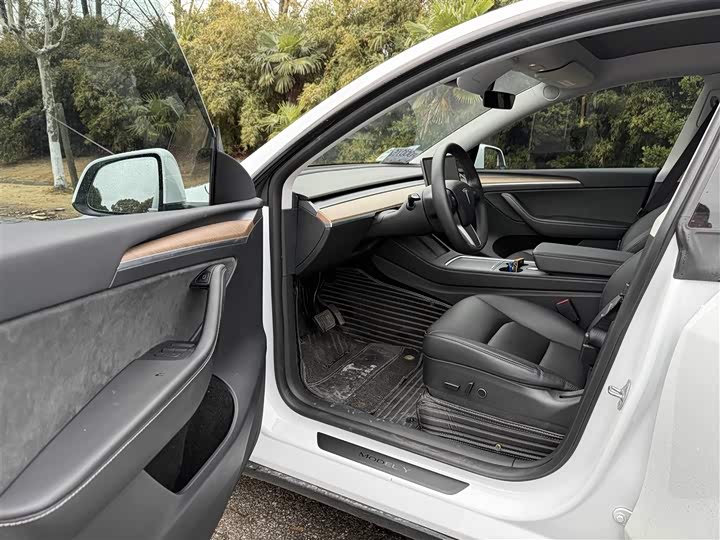 Фото 6 - Tesla Model Y