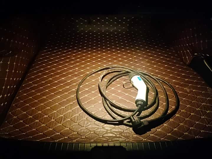 Фото 4 - Volkswagen Magotan GTE Hybrid