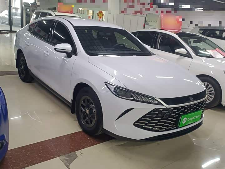 Фото 4 - BYD Qin Plus