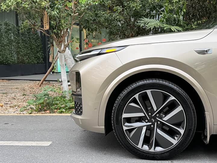 Фото 9 - LiXiang L9