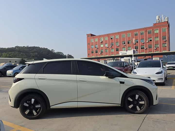 Фото 3 - BYD Dolphin