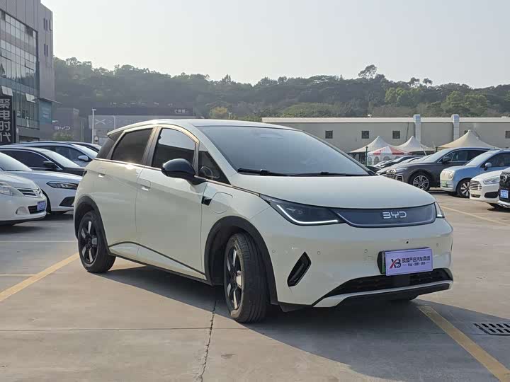 Фото 4 - BYD Dolphin