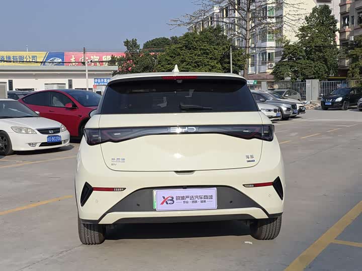 Фото 6 - BYD Dolphin