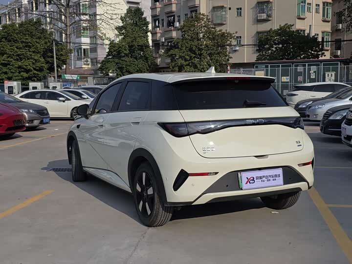 Фото 7 - BYD Dolphin