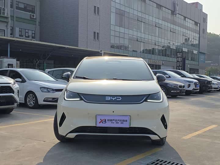 Фото 8 - BYD Dolphin