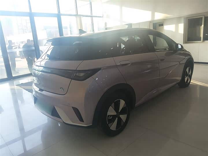 Фото 8 - BYD Dolphin