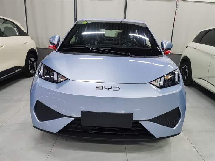 Фото 3 - BYD Seagull