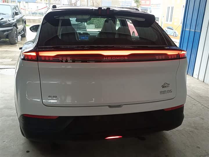 Фото 6 - Hedmos 06